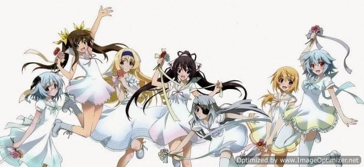 IS: Infinite Stratos 2 - World Purge-hen