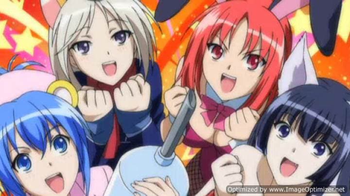 Kampfer: Fur die Liebe